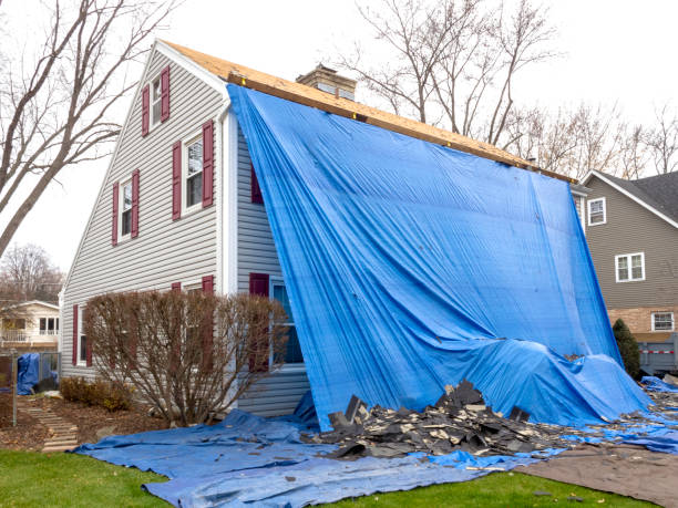 Best Attic Cleanout  in Avis, PA